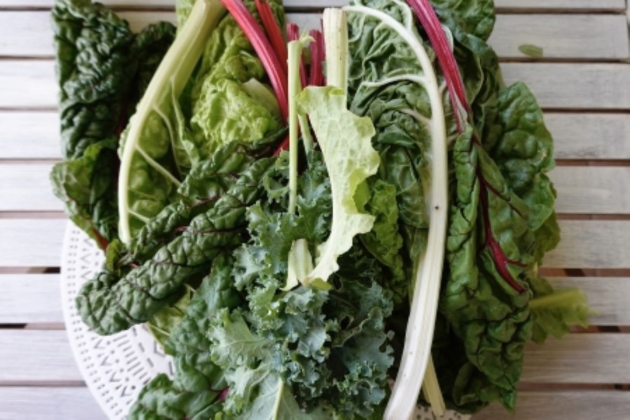 Discover the Power of Kale: 5 Tips to Add it to Your Healthy Diet!